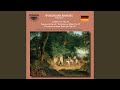 Miniature de la vidéo de la chanson Symphony No. 1 In B Minor, Op. 3: Iv. Adagio - Allegro Energico - [ ] - Tempo I - Meno Mosso