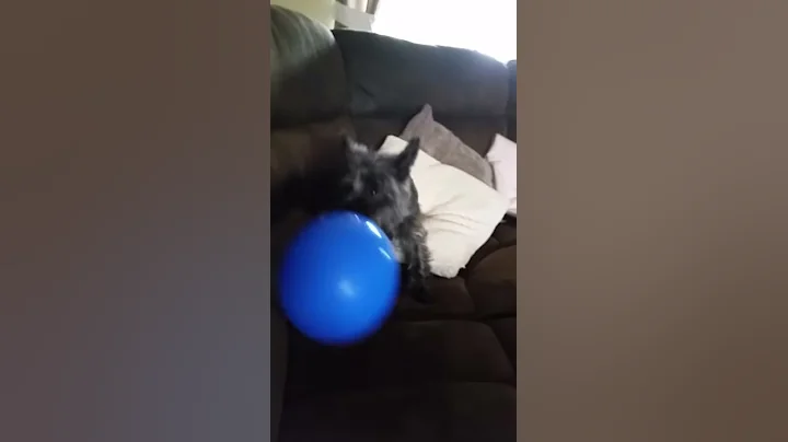 Millie and her balloon
