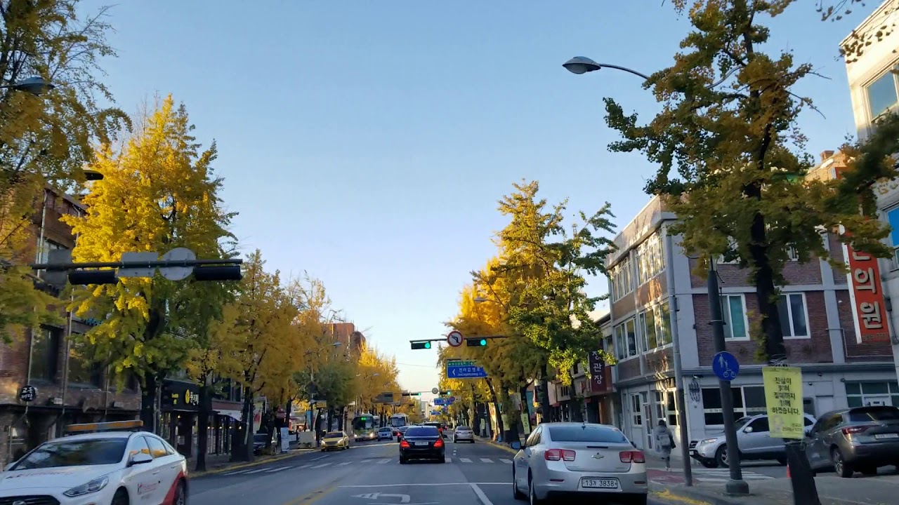 全羅北道 全州市 完山區 銀杏車道2 Youtube