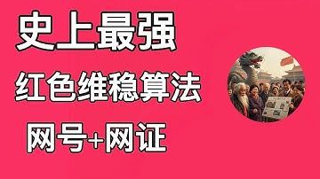 史上最强的天朝网号+网证+紅色維穩算法监管三件套来了，AI工程师带你见招拆招｜破茧算法｜天朝网证｜公共服务管理办法
