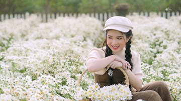 Cúc họa mi Hà Nội | Ost Như Ý Cát Tường | Music video 2021