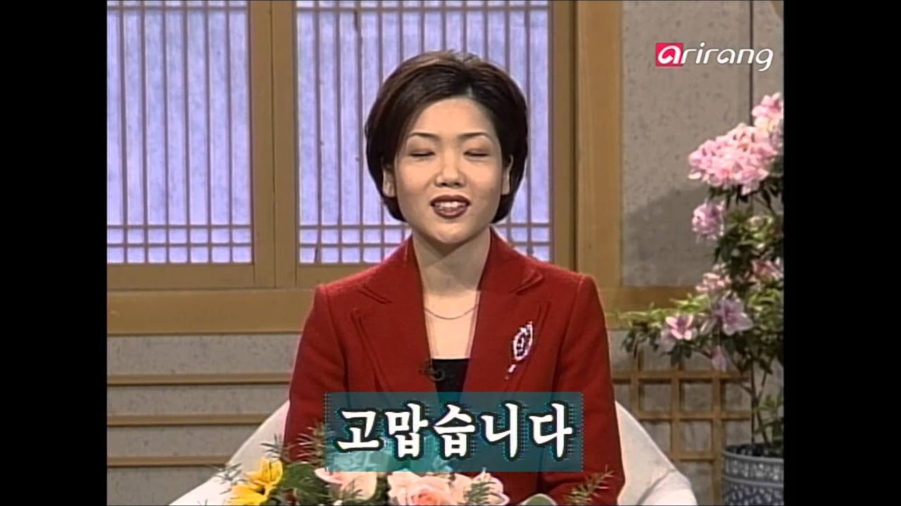 Let's Speak Korean S1999Ep003 저는 한국 사람입니다