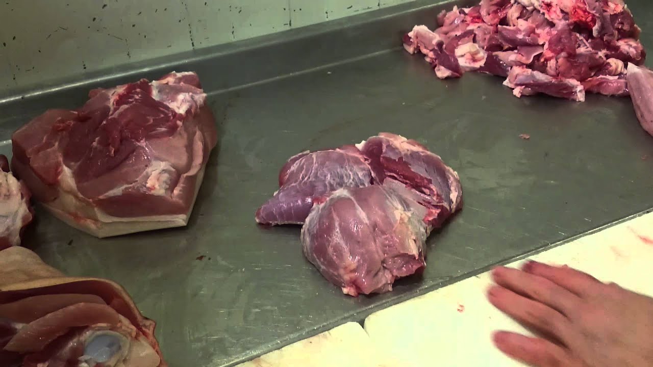 Wie zerlegt man ein Schwein - Teil5