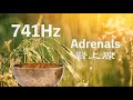 🎶 741Hz &amp; 腎上腺頻率 🌙 滿月頌缽療癒音樂 Full Moon Tibetan Singing Bowl Music 😴💤  冥想 Meditation 🎶 EP508