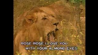 Rose Rose I Love You - Video Karaoke (Melovision)
