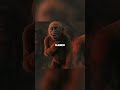 Warum leuchten die Augen vom Scar King? 😳