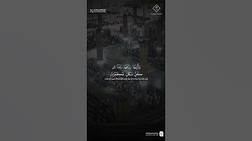 مقتطف من تلاوة فضيلة الشيخ #محمد_برهجي من صلاة الفجر 13 ربيع الآخر 1447