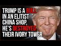 Trump Is A Populist Bull In A China Shop, He Has Destroyed The Elite Ivory Tower Establishment