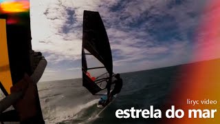Vídeo de Estrela Do Mar