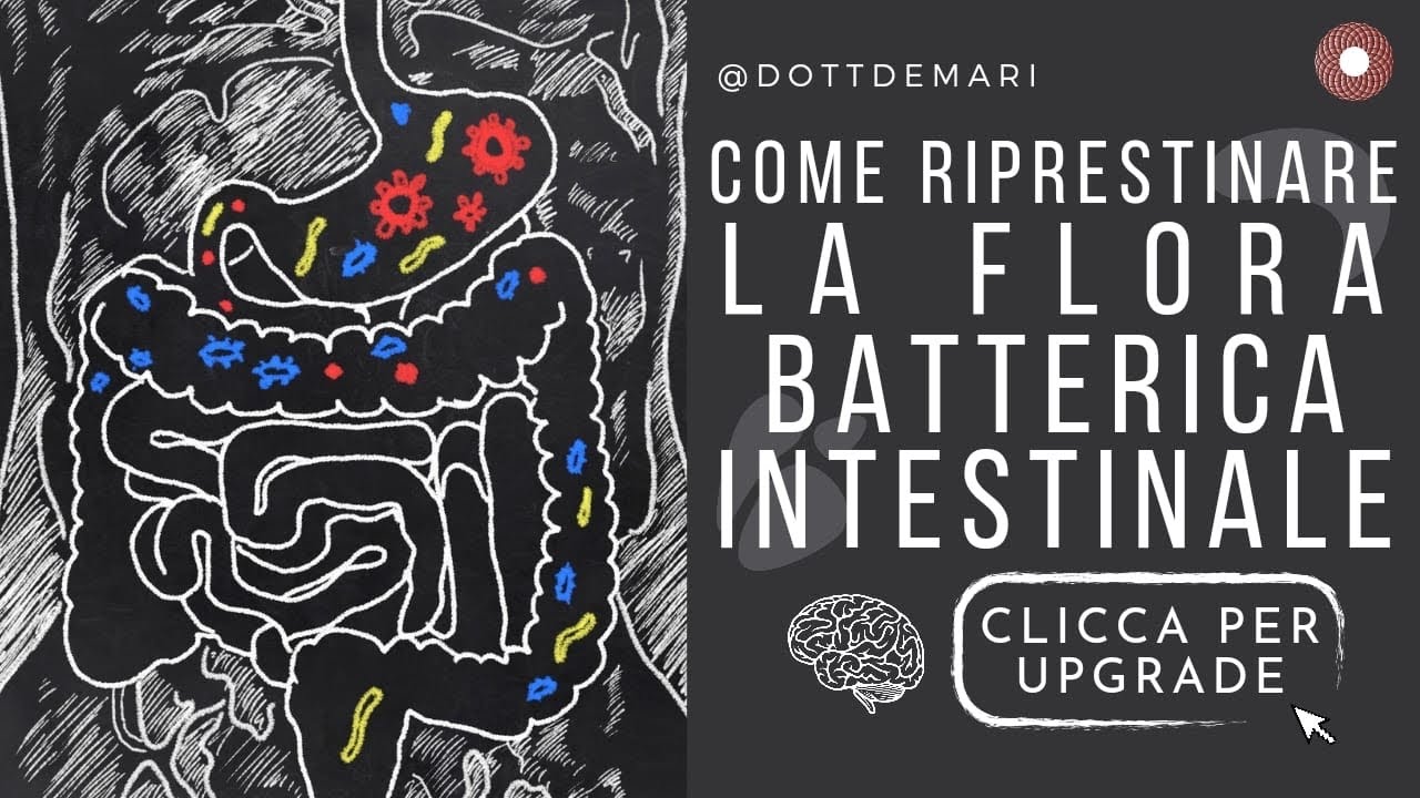 Come ripristinare la flora batterica intestinale - YouTube