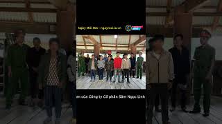 Khởi tố 12 người nhổ trộm 250 củ sâm Ngọc Linh ở Quảng Ngãi | #Shorts #News