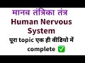 मानव तंत्रिका तंत्र Human Nervous System | General Science | Biology