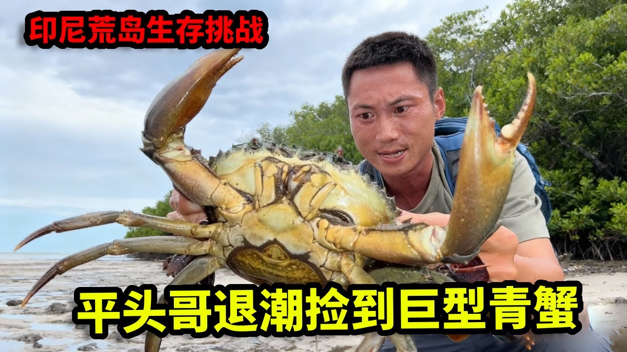 印尼荒岛生存挑战完整版！荒岛深山意外发现红色湖泊，退潮捡到巨型青蟹，自制木筏探寻新的出路【户外平头哥】