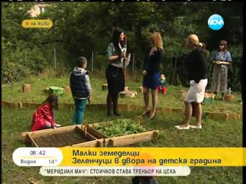 Видео: Отглеждане на органична зеленчукова градина