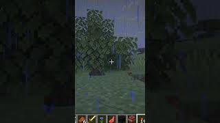 Best place to build a base?
