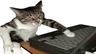 Download Lagu Jadwal Rutin Malem Sabtu MP3