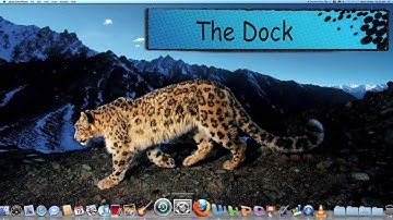 Multimedia Assignment Video - AN