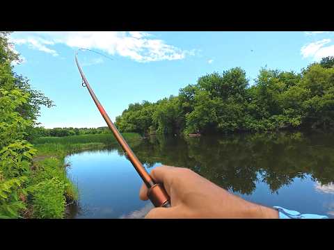 I crawled through the thickets into the forest and caught a variety of fish. It was worth hanging...