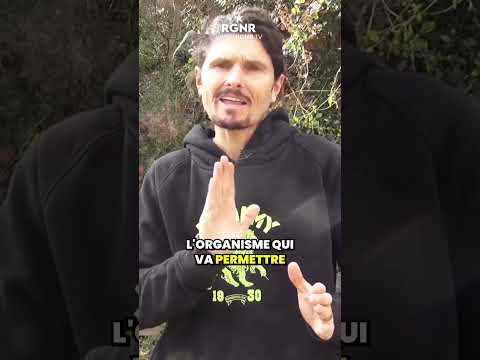 Le lien intestins/foie/détoxification globale