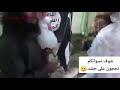 عرس حبيبة جيفارة المريضة حور الشمري من احد الدواعش السعودين ههههههه عرس حبيبة جيفارة المريضة حور الشمري من احد الدواعش السعودين ههههههه