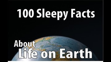 The Most Sleepy Facts About Life on Earth to Fall Asleep To.