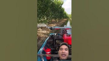 Máy bơm tưới vườn cây ân quả #farming