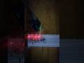 Arduino genius game #youtubeshorts #game