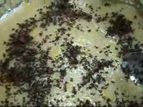 BIBINGKANG KANIN ("BIKO SA LATIK" -Philippine Original Rice Cake with