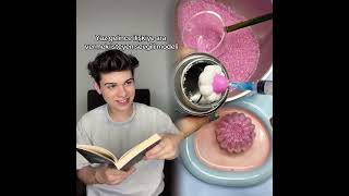 🤣👌👌👌2025 pov Must-Watch Crazy Clips Compilation #humor #fypシ #pov #fyp #foryou 😍😜