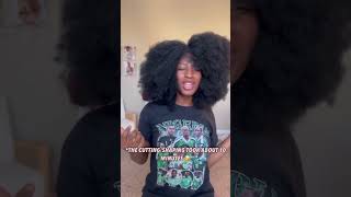 4C Afro Kinky Wig For Black Women | Full Blown Diva Wig ~ All Things Savvy | Product Links