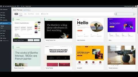 Customizing Your WordPress E-commerce Site: Adding a Logo, Changing Themes, and Setting Permalinks