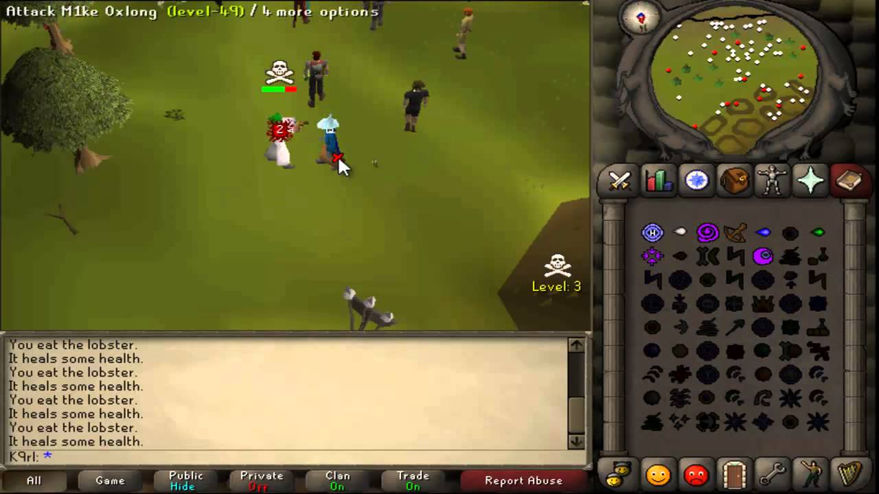 [RS07] K9RL| HIGH RISK Hybridding | Video #1  Best Brid in Runescape 2007