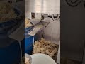 استخراج زيت اللوز الحلو الطبيعي تتوفر مكائن عصر البذور بعدة احجام وزيوت طبيعية