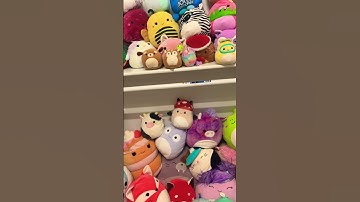 It’s not an addiction, it’s a ✨hobby✨ #squishmallows