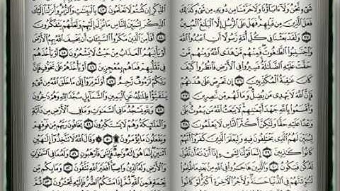 سورة النحل - ناصر القطامي صوت رائع