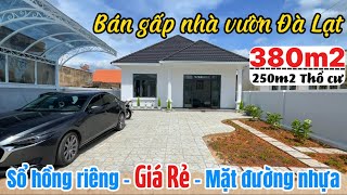 🏡BÁN RẺ NHÀ VƯỜN THÀNH PHỐ ĐÀ LẠT SỔ HỒNG RIÊNG| 380m2 - 250m2 Thổ cư