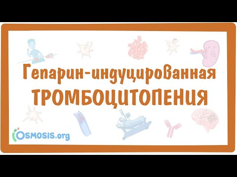 Гепарин индуцированная тромбоцитопения (ГИТ) — причины, симптомы, патогенез, диагностика, лечение