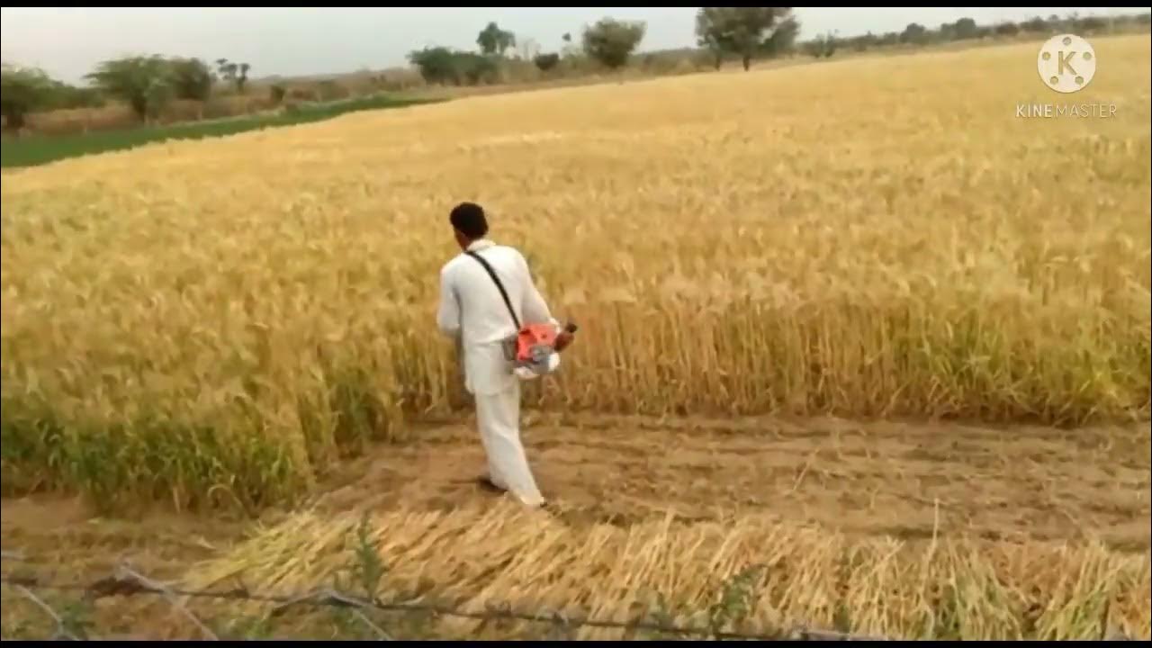 Brush cutter machine gash katne ki machine gehu katne ki machine