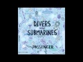 Passenger - Crows In Snow - (DIvers And Submarines Album) HIGH QUALITY