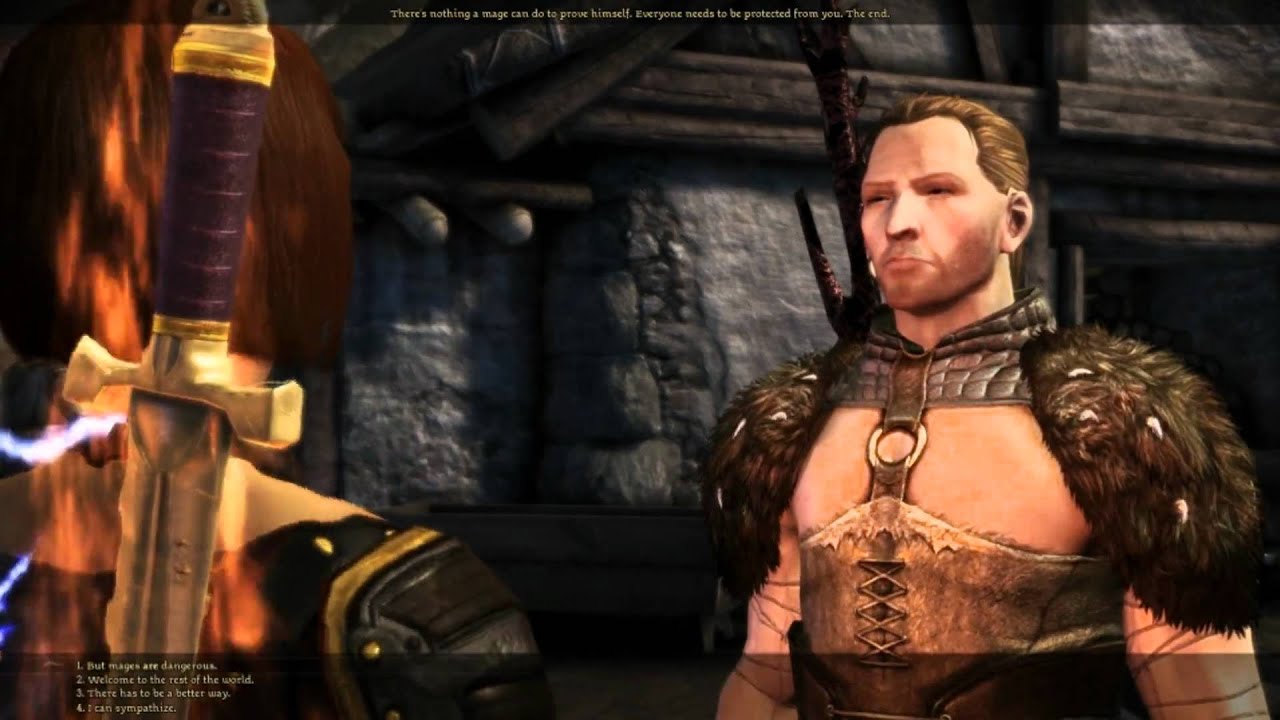 Dragon Age Awakening: Anders is a blood mage 