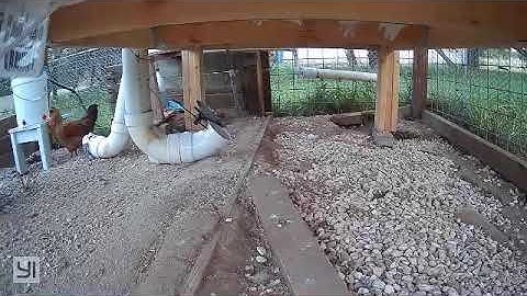 Arduino chicken feeder closer - we have success!