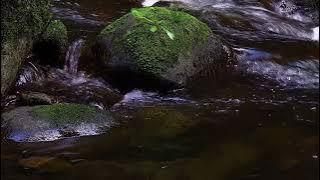 suara gemericik air mengalir durasi pendek #shorts ||Relaksasi