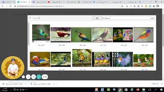شرح موقع wordwall   ج6 فرقعة البالونات+الطائرة screenshot 1