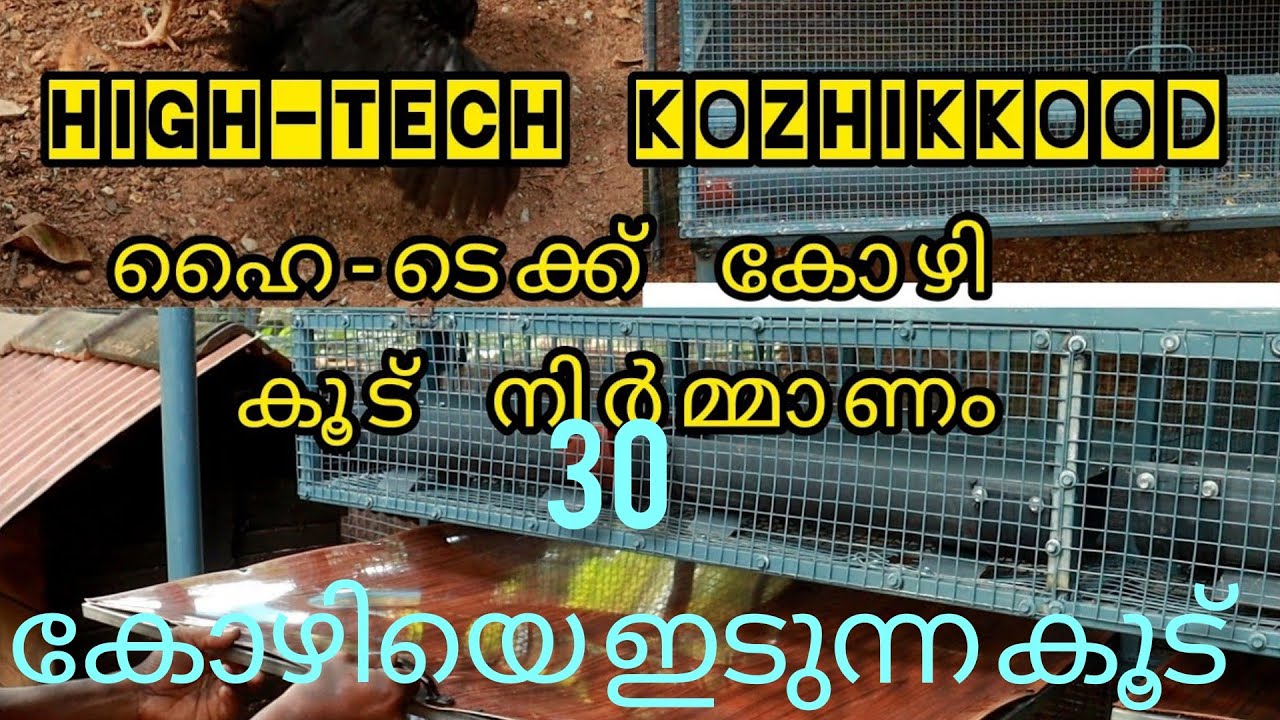 High-tech kozhikood Hen cage#  30കോഴിയെ ഇടുന്ന ഹൈ-ടെക്ക് കോഴികൂട് നിർമ്മാണം# Kerala(Kannur)