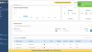 Long Tail Rank Tracker Demo