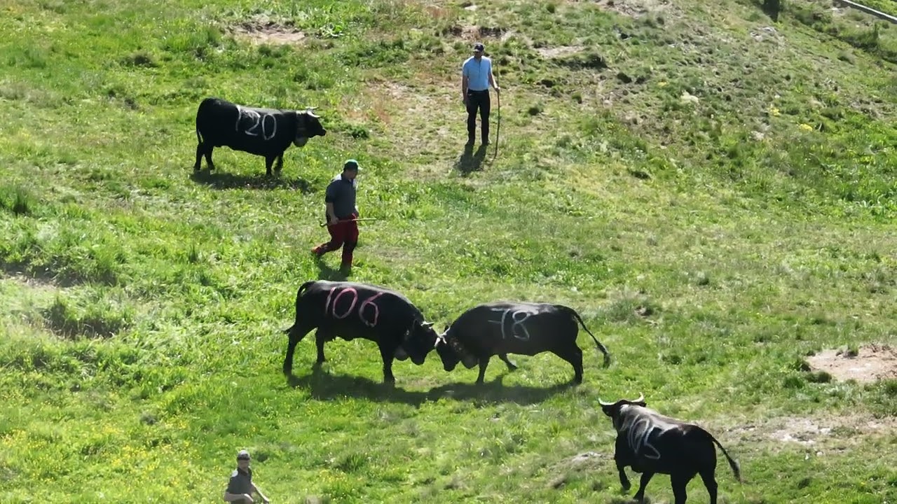 Moosalp Eringer 2023