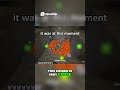 Minecraft Player's CRAZY Lava &amp; Egg Chicken DEATH!