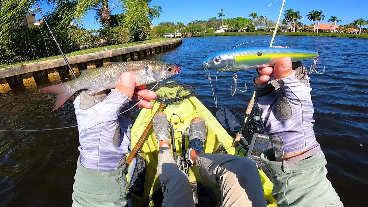 This LIVE BAIT and LURE Get Smoked Solo Florida Inshore Kayak Fishing YouTube