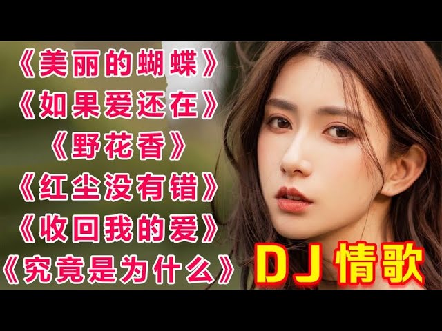 DJ情歌《美丽的蝴蝶》《如果爱还在》《野花香》《红尘没有错》等【小婧音乐】