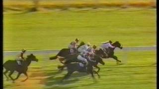 1983 William Hill Futurity Stakes